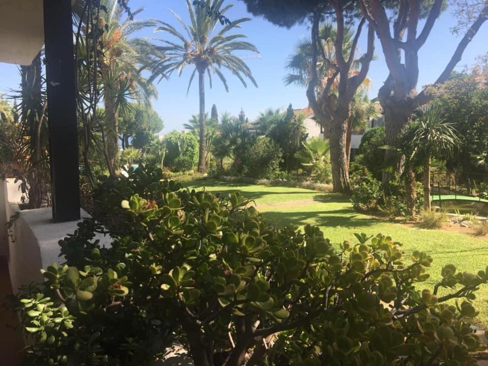 El Vivero De 31 Marbella